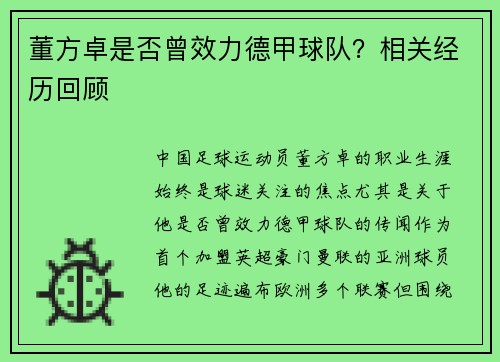 董方卓是否曾效力德甲球队？相关经历回顾